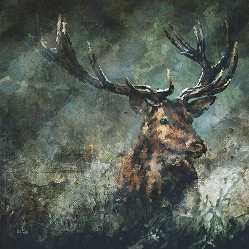 Elk