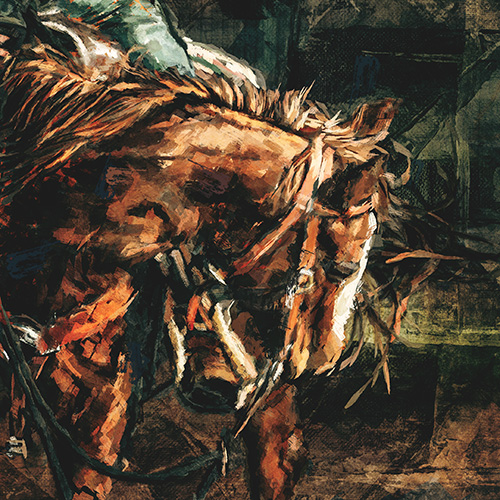 Horse in a Barn